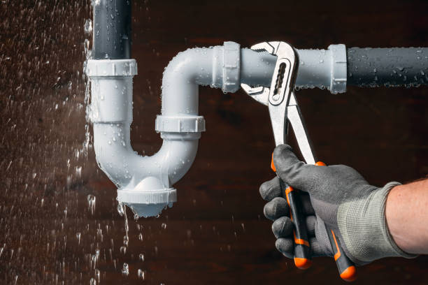 Professional Plumbing technician working in Halsey, OR